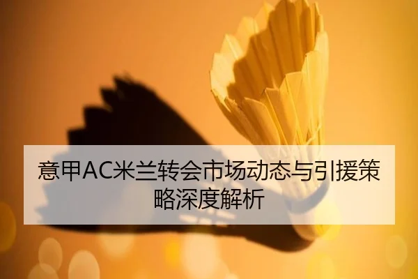 意甲AC米兰转会市场动态与引援策略深度解析